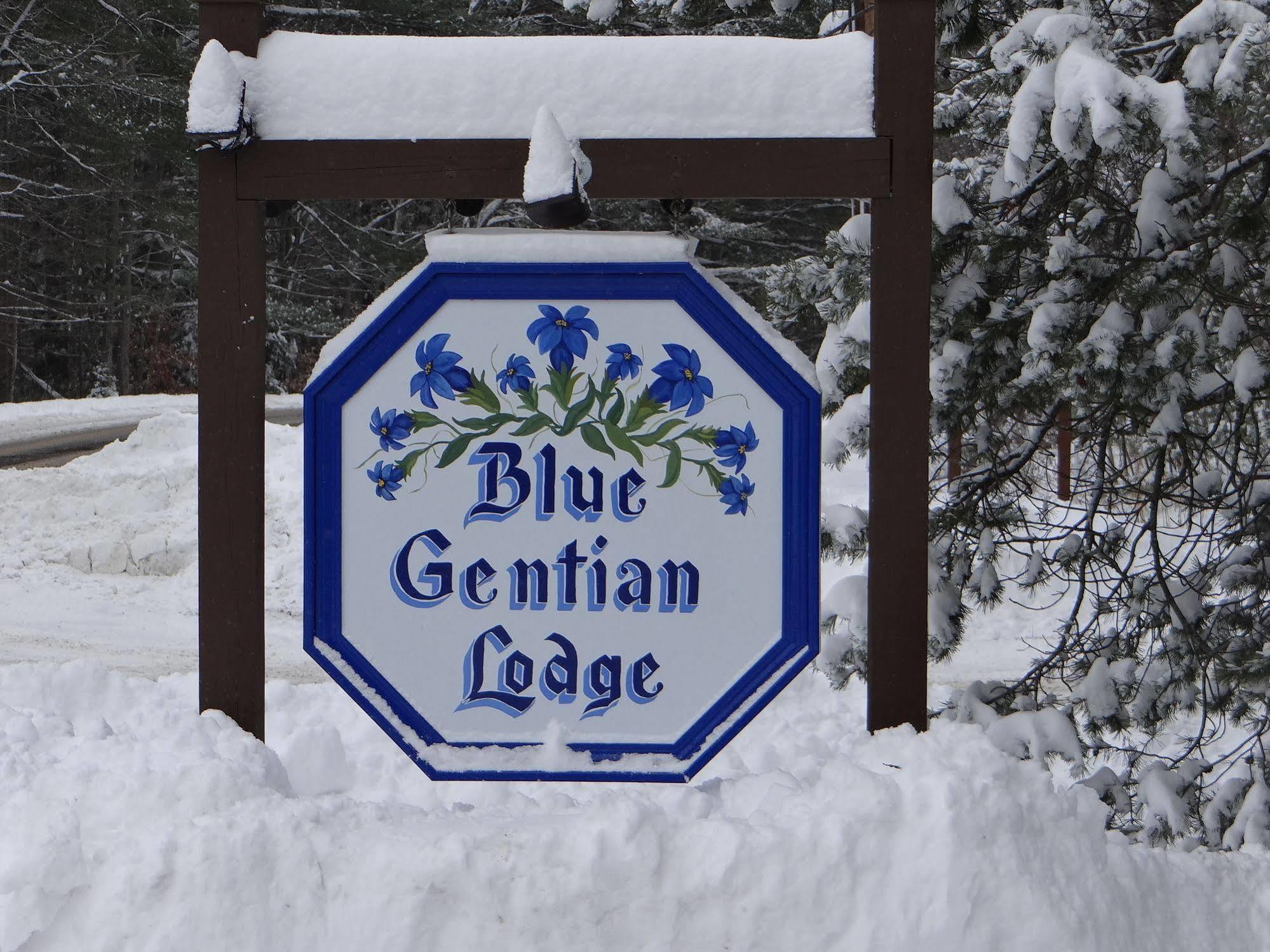 Londonderry Blue Gentian Lodge At Magic Mountain מראה חיצוני תמונה